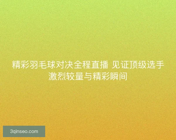 精彩羽毛球对决全程直播 见证顶级选手激烈较量与精彩瞬间